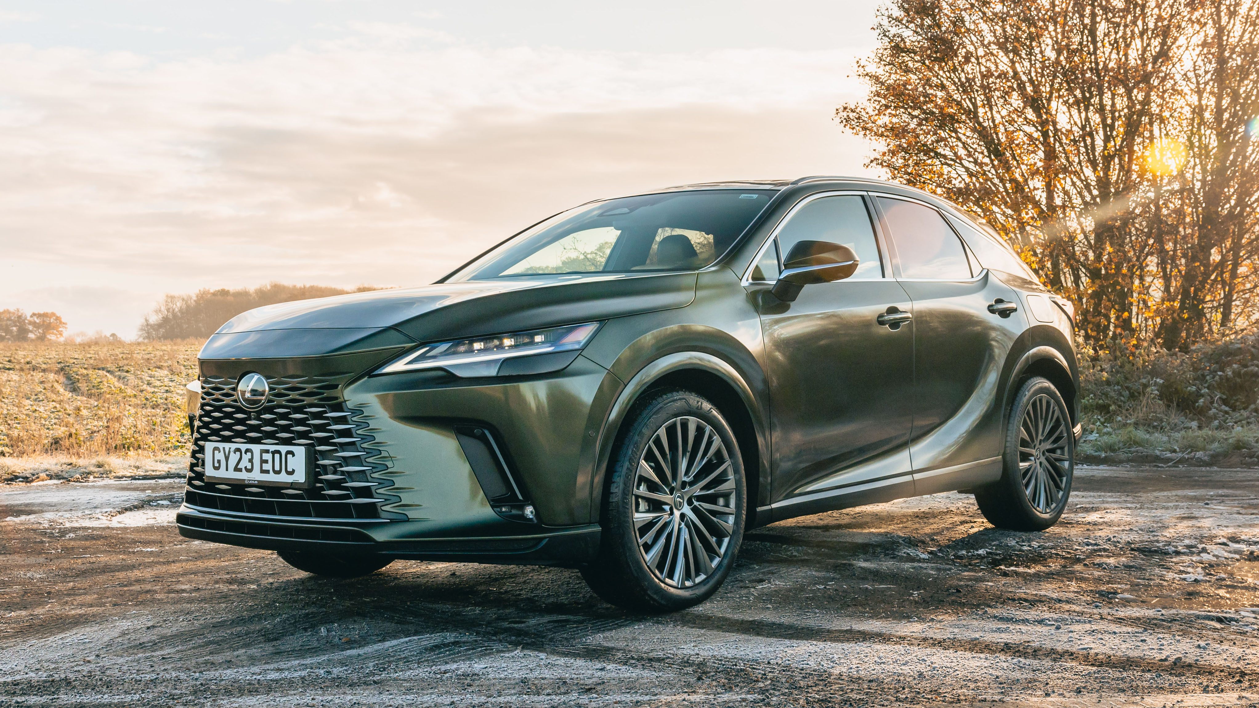 Lexus RX 450h longterm review Report No2 2025 Top Gear